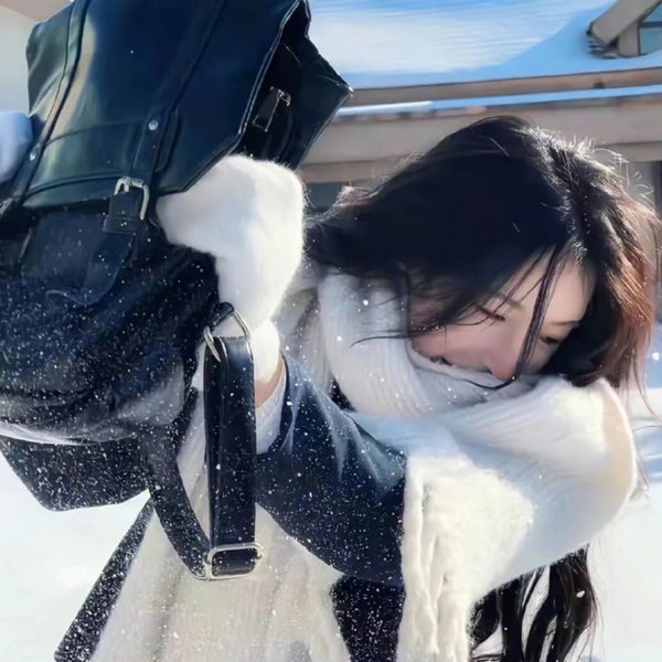 红雀特工